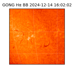 gong - 2024-12-14T16:02:02