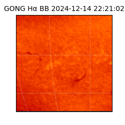 gong - 2024-12-14T22:21:02
