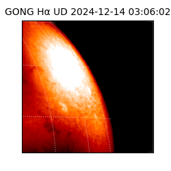 gong - 2024-12-14T03:06:02