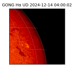 gong - 2024-12-14T04:00:02