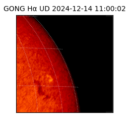 gong - 2024-12-14T11:00:02