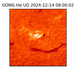 gong - 2024-12-14T08:00:02
