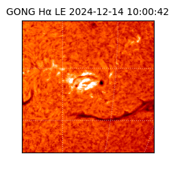 gong - 2024-12-14T10:00:42