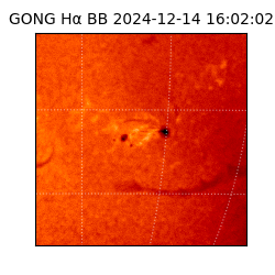 gong - 2024-12-14T16:02:02