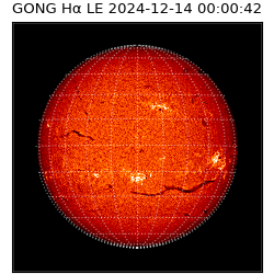 gong - 2024-12-14T00:00:42