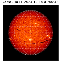 gong - 2024-12-14T01:00:42
