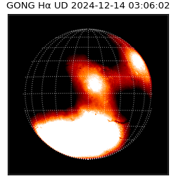 gong - 2024-12-14T03:06:02