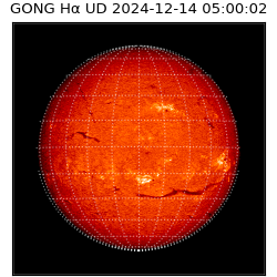 gong - 2024-12-14T05:00:02