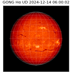 gong - 2024-12-14T06:00:02