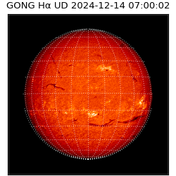 gong - 2024-12-14T07:00:02