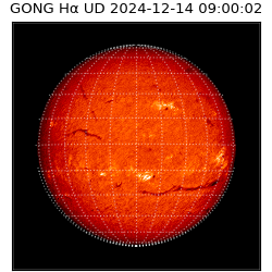 gong - 2024-12-14T09:00:02