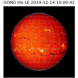 gong - 2024-12-14T10:00:42