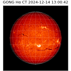 gong - 2024-12-14T13:00:42