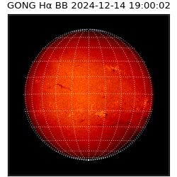 gong - 2024-12-14T19:00:02