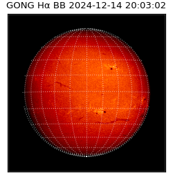 gong - 2024-12-14T20:03:02