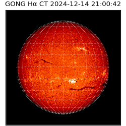 gong - 2024-12-14T21:00:42