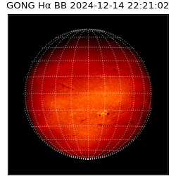 gong - 2024-12-14T22:21:02