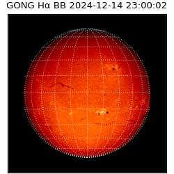 gong - 2024-12-14T23:00:02