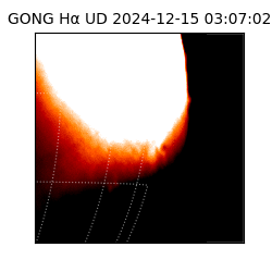 gong - 2024-12-15T03:07:02