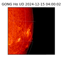 gong - 2024-12-15T04:00:02