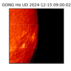 gong - 2024-12-15T09:00:02
