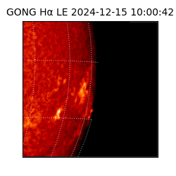 gong - 2024-12-15T10:00:42