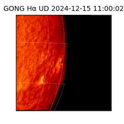 gong - 2024-12-15T11:00:02