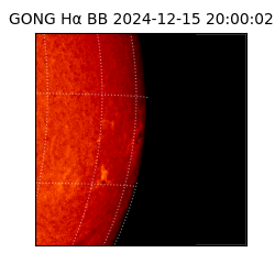 gong - 2024-12-15T20:00:02