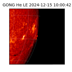 gong - 2024-12-15T10:00:42