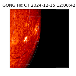 gong - 2024-12-15T12:00:42
