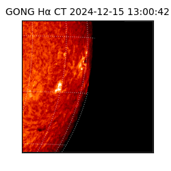 gong - 2024-12-15T13:00:42