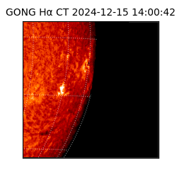 gong - 2024-12-15T14:00:42