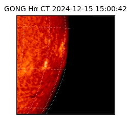 gong - 2024-12-15T15:00:42