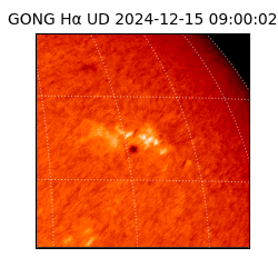 gong - 2024-12-15T09:00:02