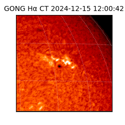 gong - 2024-12-15T12:00:42