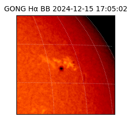 gong - 2024-12-15T17:05:02