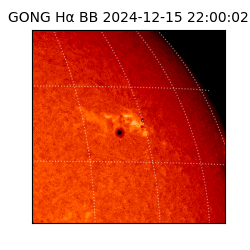 gong - 2024-12-15T22:00:02