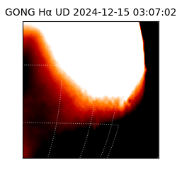 gong - 2024-12-15T03:07:02