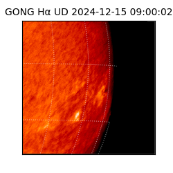 gong - 2024-12-15T09:00:02