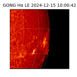 gong - 2024-12-15T10:00:42