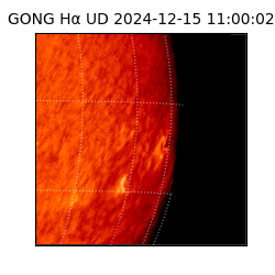 gong - 2024-12-15T11:00:02