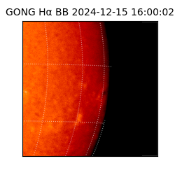 gong - 2024-12-15T16:00:02