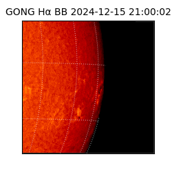 gong - 2024-12-15T21:00:02