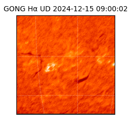 gong - 2024-12-15T09:00:02