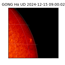 gong - 2024-12-15T09:00:02