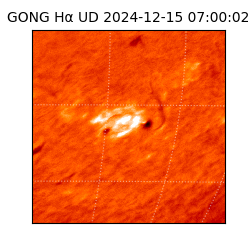 gong - 2024-12-15T07:00:02