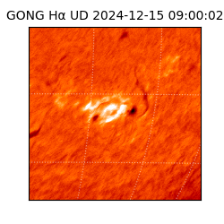 gong - 2024-12-15T09:00:02