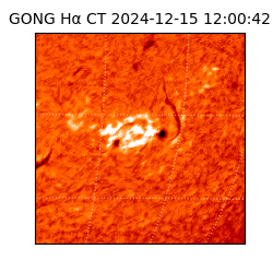 gong - 2024-12-15T12:00:42