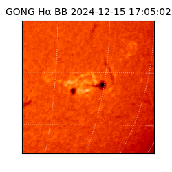 gong - 2024-12-15T17:05:02
