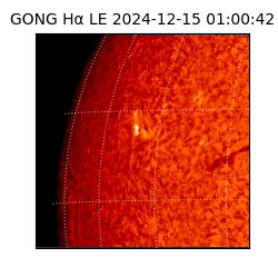 gong - 2024-12-15T01:00:42